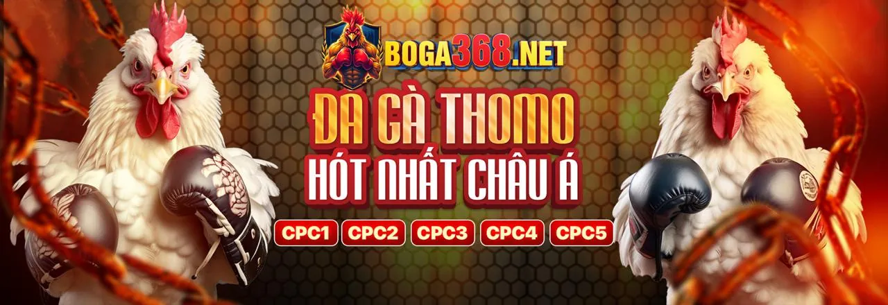 Hình ảnh chính về chiến lược cá cược thể thao ev088
